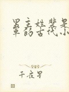 男主姓裴是个将军的古代小说