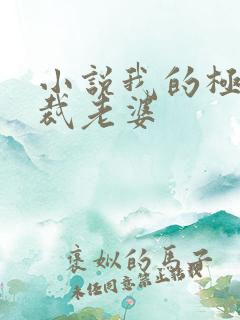 小说我的极品总裁老婆