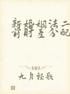 新婚姻法二婚婚前财产分配