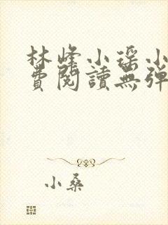 林峰小瑶小说免费阅读无弹窗