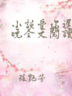 小说爱你迟而不晚全文阅读