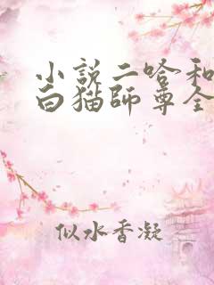 小说二哈和他的白猫师尊全文免费读