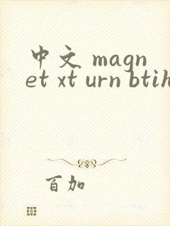 中文 magnet xt urn btih