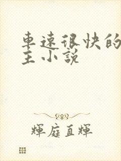 车速很快的双男主小说