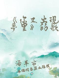 《你又出现在我梦里》的歌词