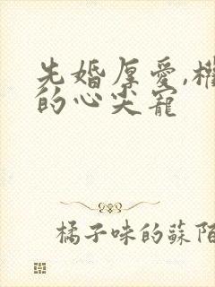 先婚厚爱,权少的心尖宠