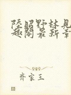 陆昭野林见疏笔趣阁最新章节更新