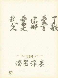 我爱你爱了那么久是哪首歌