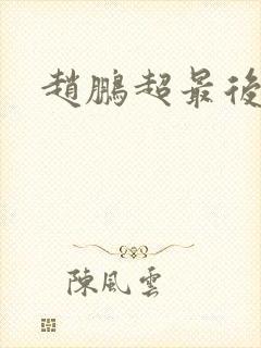 赵鹏超最后结局