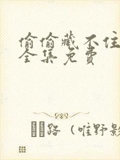 偷偷藏不住漫剧全集免费