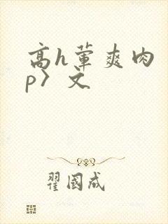 高h荤爽肉〈np〉文