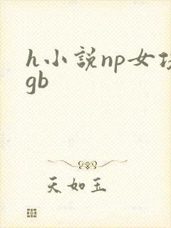 h小说np女攻gb