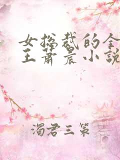 女总裁的全能兵王萧晨小说完整版