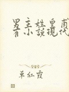 男主姓皇甫的所有小说现代言情