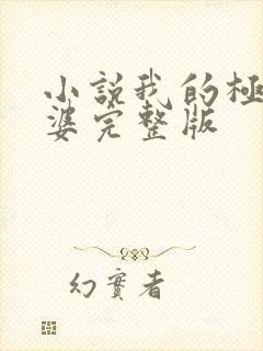 小说我的极品老婆完整版