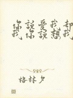 你说爱我却不陪我你说想我却不见我是什么歌