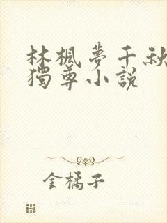 林枫梦千秋万界独尊小说