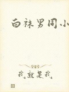 白袜男同小正太