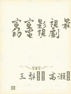 宣宣影视最好看的电视剧