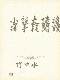 小说大佬追妻不择手段阅读