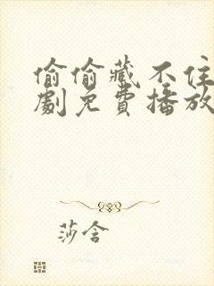 偷偷藏不住电视剧免费播放完整版赵露思