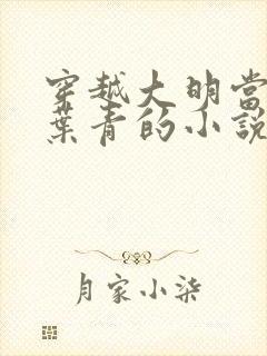 穿越大明当县令叶青的小说