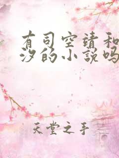 有司空靖和苏月汐的小说吗