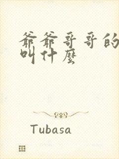 爷爷哥哥的儿子叫什么