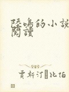 陆鸣的小说免费阅读