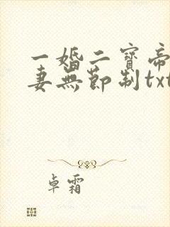 一婚二宝帝少宠妻无节制txt下载
