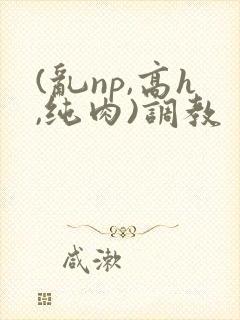 (乱np,高h,纯肉)调教