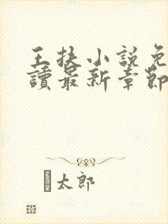 王扶小说免费阅读最新章节无弹窗