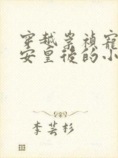 穿越崇祯宠幸懿安皇后的小说