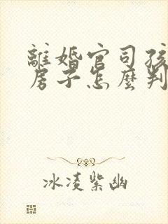 离婚官司孩子和房子怎么判