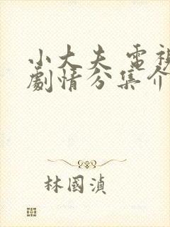 小大夫 电视剧剧情分集介绍