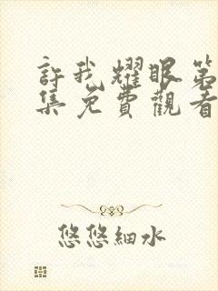 许我耀眼第18集免费观看完整版