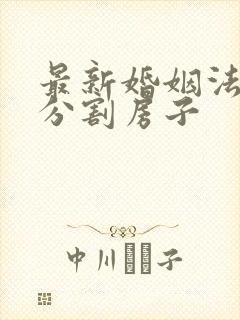 最新婚姻法财产分割房子