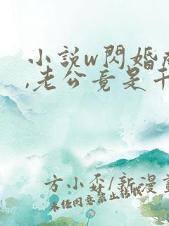 小说w闪婚成宠,老公竟是千亿大佬》