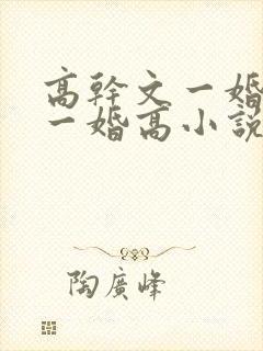 高干文一婚还比一婚高小说