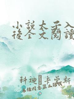 小说太子入戏之后全文阅读