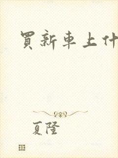 买新车上什么网