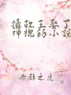 摄政王娶了个小神棍的小说