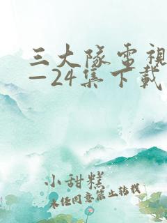 三大队电视剧1—24集下载