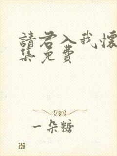 请君入我怀34集免费