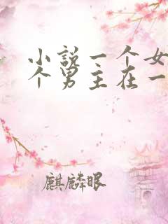小说一个女主多个男主在一起