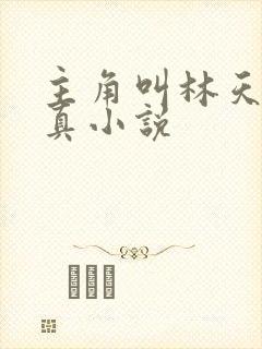 主角叫林天的修真小说