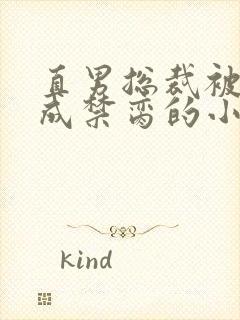 直男总裁被调教成禁脔的小说