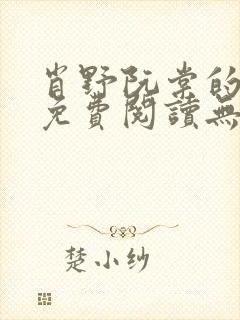 肖野阮棠的小说免费阅读无弹窗