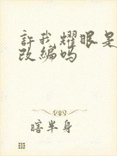 许我耀眼是小说改编吗