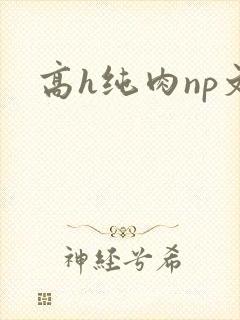 高h纯肉np文